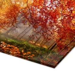 Efterårslys Art Couture Akrylbillede 40 X 20 Cm Billedramme -POSTERLOUNGE Salg 696382 acrylic glass empCorner l