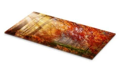 Efterårslys Art Couture Akrylbillede 40 X 20 Cm Billedramme -POSTERLOUNGE Salg 696382 acrylic glass pds l