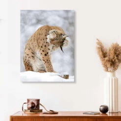 Lynx In The Winter Forest Akrylbillede 20 X 30 Cm Billedramme -POSTERLOUNGE Salg 696732 acrylic glass room photography l