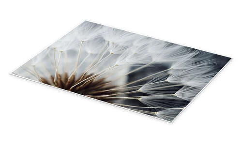 Inde I En Mælkebøtte II Plakat 30 X 40 Cm Billedramme 4 Inde I En Mælkebøtte II Plakat 30 X 40 Cm Billedramme - Billede 2