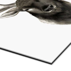 Deer Portrait Grace Popp Galleritryk 30 X 30 Cm Billedramme -POSTERLOUNGE Salg 701345 gallery print empCorner l