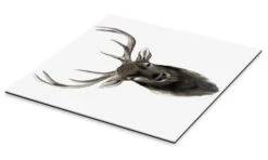 Deer Portrait Grace Popp Galleritryk 30 X 30 Cm Billedramme -POSTERLOUNGE Salg 701345 gallery print pds l