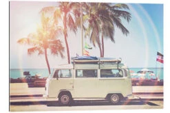 Van Under Palmetræer Sisi And Seb Galleritryk 30 X 20 Cm Billedramme