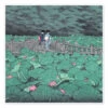 Pond At Benten Shrine (detail) Kawase Hasui Plakat 30 X 30 Cm Billedramme -POSTERLOUNGE Salg 704151 poster l
