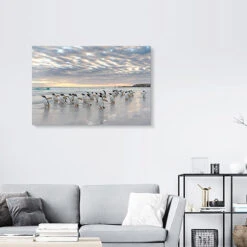 Gentoo Penguin On The Sandy Beach Martin Zwick Akrylbillede 30 X 20 Cm Billedramme -POSTERLOUNGE Salg 706208 acrylic glass room photography l