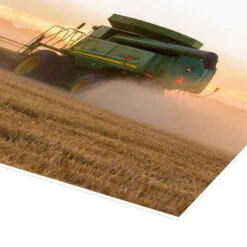 Combine Harvesting Wheat Plakat 30 X 20 Cm Billedramme -POSTERLOUNGE Salg 706651 poster empCorner l