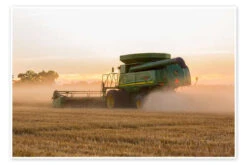 Combine Harvesting Wheat Plakat 30 X 20 Cm Billedramme