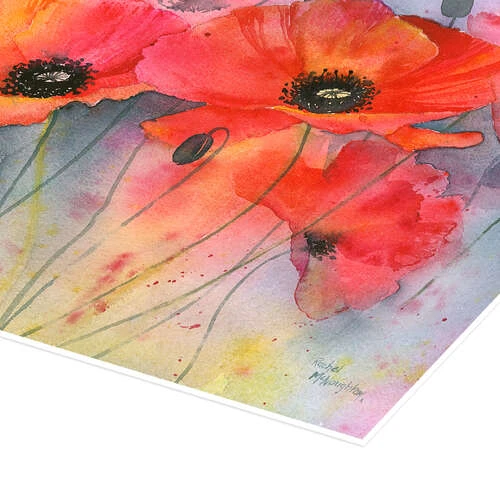Deep Red Poppy Rachel McNaughton Plakat 30 X 20 Cm Billedramme 5 Deep Red Poppy Rachel McNaughton Plakat 30 X 20 Cm Billedramme - Billede 3