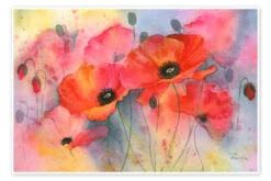 Deep Red Poppy Rachel McNaughton Plakat 30 X 20 Cm Billedramme