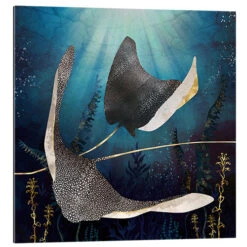 Stingray SpaceFrog Designs Galleritryk 30 X 30 Cm Billedramme