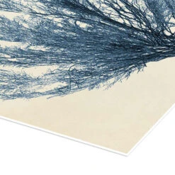 Indigo Coral V Vision Studio Plakat 30 X 30 Cm Billedramme -POSTERLOUNGE Salg 710120 poster empCorner l