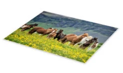 Icelandic Horses VII PHBurchett Plakat 40 X 30 Cm Billedramme -POSTERLOUNGE Salg 710296 poster pds l
