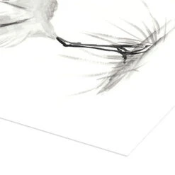 Japanese Crane Naomi McCavitt Plakat 30 X 40 Cm Billedramme -POSTERLOUNGE Salg 710547 poster empCorner l