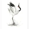 Japanese Crane Naomi McCavitt Plakat 30 X 40 Cm Billedramme -POSTERLOUNGE Salg 710547 poster l