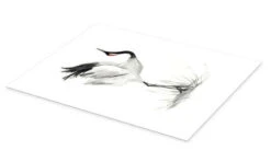 Japanese Crane Naomi McCavitt Plakat 30 X 40 Cm Billedramme -POSTERLOUNGE Salg 710547 poster pds l