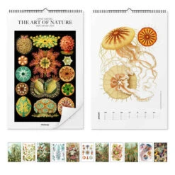 Ernst Haeckel Kalender - The Art Of Nature 2024 Ernst Haeckel Vægkalender 25 X 40 Cm