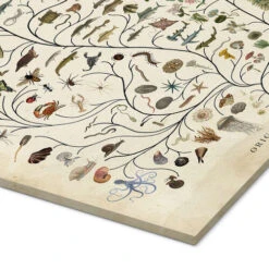 Tree Of Life Studio W Akrylbillede 20 X 30 Cm Billedramme -POSTERLOUNGE Salg 712589 acrylic glass empCorner l