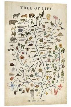 Tree Of Life Studio W Akrylbillede 20 X 30 Cm Billedramme