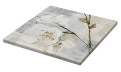 Elegance I, Greige Albena Hristova Lærredsbillede 30 X 30 Cm Billedramme 7 Elegance I, Greige Albena Hristova Lærredsbillede 30 X 30 Cm Billedramme -POSTERLOUNGE Salg 715032 canvas pds l