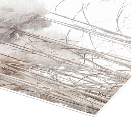 Pampas Grass II Magda Izzard Plakat 30 X 40 Cm Billedramme 5 Pampas Grass II Magda Izzard Plakat 30 X 40 Cm Billedramme - Billede 3