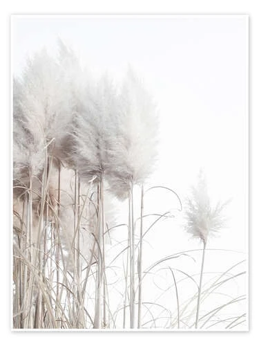 Pampas Grass II Magda Izzard Plakat 30 X 40 Cm Billedramme 3 Pampas Grass II Magda Izzard Plakat 30 X 40 Cm Billedramme
