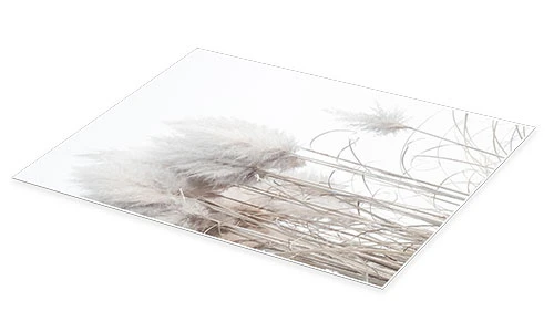 Pampas Grass II Magda Izzard Plakat 30 X 40 Cm Billedramme 4 Pampas Grass II Magda Izzard Plakat 30 X 40 Cm Billedramme - Billede 2