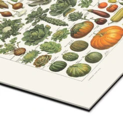 Vegetables Vintage (French) Patruschka Galleritryk 20 X 30 Cm Billedramme -POSTERLOUNGE Salg 718427 gallery print empCorner l
