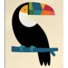 Rainbow Toucan Andy Westface Galleritryk 20 X 30 Cm Billedramme -POSTERLOUNGE Salg 718556 gallery print l