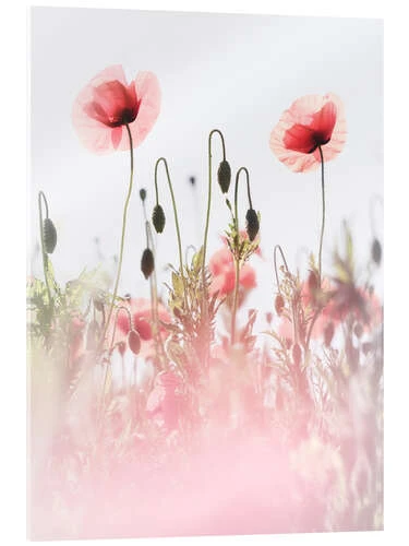 Real Love Bob Daalder Akrylbillede 20 X 30 Cm Billedramme 3 Real Love Bob Daalder Akrylbillede 20 X 30 Cm Billedramme