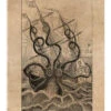 The Giant Octopus Vintage Educational Collection Akrylbillede 20 X 30 Cm Billedramme -POSTERLOUNGE Salg 720182 acrylic glass l