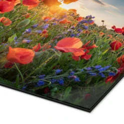 Poppy Flowers In The Evening Steffen Gierok Galleritryk 30 X 20 Cm Billedramme -POSTERLOUNGE Salg 720499 gallery print empCorner l