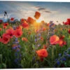 Poppy Flowers In The Evening Steffen Gierok Galleritryk 30 X 20 Cm Billedramme -POSTERLOUNGE Salg 720499 gallery print l