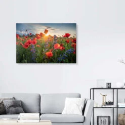 Poppy Flowers In The Evening Steffen Gierok Galleritryk 30 X 20 Cm Billedramme -POSTERLOUNGE Salg 720499 gallery print room photography l