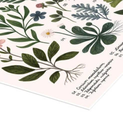 Herbarium Kaja Kajfez Plakat 30 X 40 Cm Billedramme -POSTERLOUNGE Salg 721609 poster empCorner l