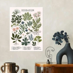 Herbarium Kaja Kajfez Plakat 30 X 40 Cm Billedramme -POSTERLOUNGE Salg 721609 poster room illustrations l