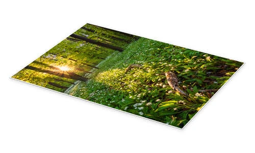 Spring Evening In The Forest Dave Derbis Plakat 20 X 30 Cm Billedramme 4 Spring Evening In The Forest Dave Derbis Plakat 20 X 30 Cm Billedramme - Billede 2