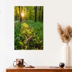 Spring Evening In The Forest Dave Derbis Plakat 20 X 30 Cm Billedramme 9 Spring Evening In The Forest Dave Derbis Plakat 20 X 30 Cm Billedramme -POSTERLOUNGE Salg 722163 poster room photography l