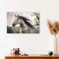 Andalusian, Gray Horse With A Fluttering Mane Stephanie Hafner Galleritryk 30 X 20 Cm Billedramme -POSTERLOUNGE Salg 724455 gallery print room photography l
