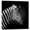 Zebra Fegari Akrylbillede 30 X 30 Cm Billedramme