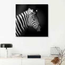 Zebra Fegari Akrylbillede 30 X 30 Cm Billedramme -POSTERLOUNGE Salg 724926 acrylic glass room black l