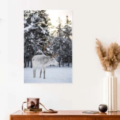 Reindeer At Sunset In The Winter Forest Matthew Williams-Ellis Plakat 20 X 30 Cm Billedramme -POSTERLOUNGE Salg 726124 poster room photography l
