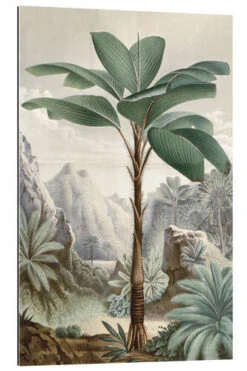 Tropical Dreamland Andrea Haase Galleritryk 20 X 30 Cm Billedramme