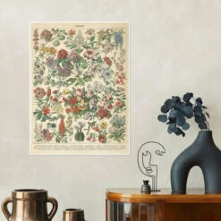 Vintage Floral Chart Wild Apple Portfolio Plakat 30 X 40 Cm Billedramme -POSTERLOUNGE Salg 732249 poster room illustrations l