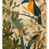 Paradise Birds Goed Blauw Plakat 30 X 40 Cm Billedramme 2 Paradise Birds Goed Blauw Plakat 30 X 40 Cm Billedramme -POSTERLOUNGE Salg 732424 poster l