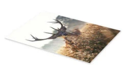 Imposing Deer In An Enchanted Landscape Max Ellis Plakat 20 X 30 Cm Billedramme -POSTERLOUNGE Salg 732669 poster pds l