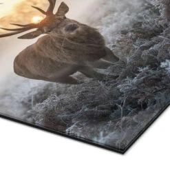 I Heart You Deer Max Ellis Galleritryk 20 X 30 Cm Billedramme -POSTERLOUNGE Salg 732678 gallery print empCorner l