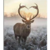 I Heart You Deer Max Ellis Galleritryk 20 X 30 Cm Billedramme -POSTERLOUNGE Salg 732678 gallery print l