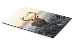 I Heart You Deer Max Ellis Galleritryk 20 X 30 Cm Billedramme -POSTERLOUNGE Salg 732678 gallery print pds l