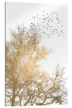 Golden Skies KUBISTIKA Galleritryk 20 X 30 Cm Billedramme