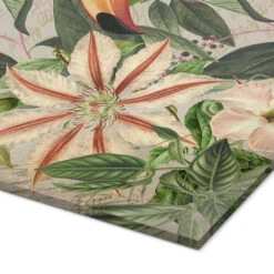 Tropical Toucan Andrea Haase Akrylbillede 30 X 30 Cm Billedramme -POSTERLOUNGE Salg 737241 acrylic glass empCorner l